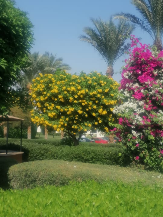 Gartenanlage Stella Garden Resort & Spa, Makadi Bay