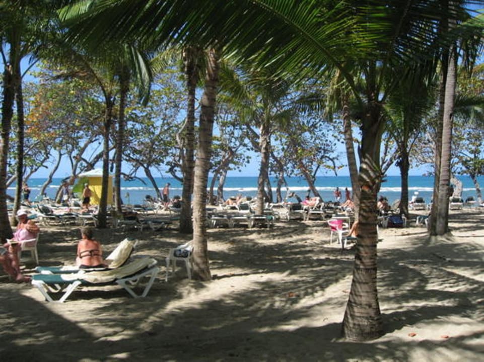 Hotelstrand RIU Bachata Playabachata Hotel