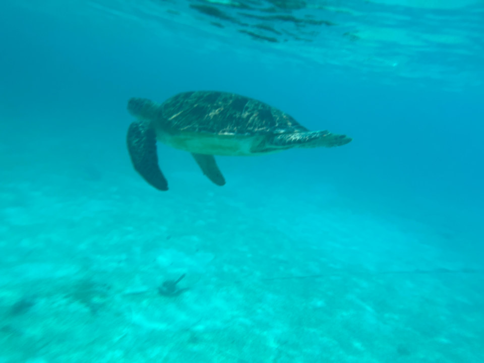 Strand Kuredu Island Resort & Spa