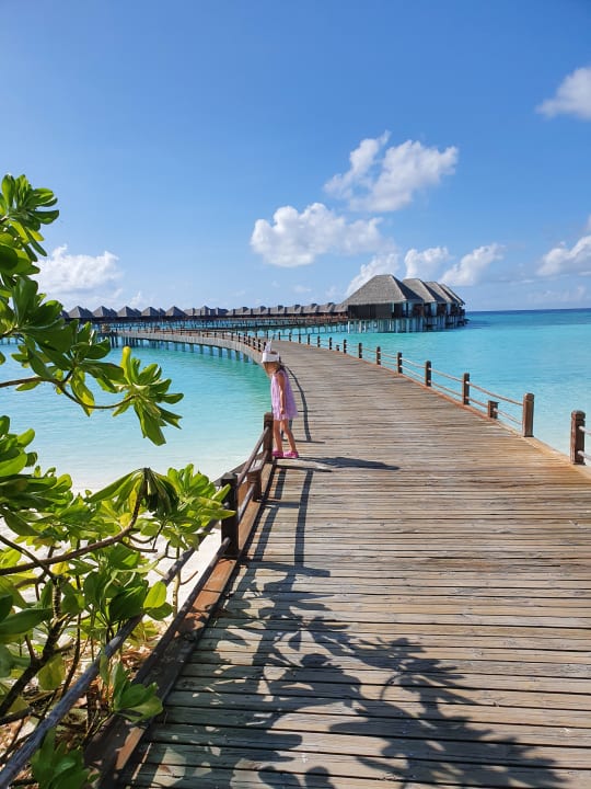 Sonstiges Sun Siyam Vilu Reef