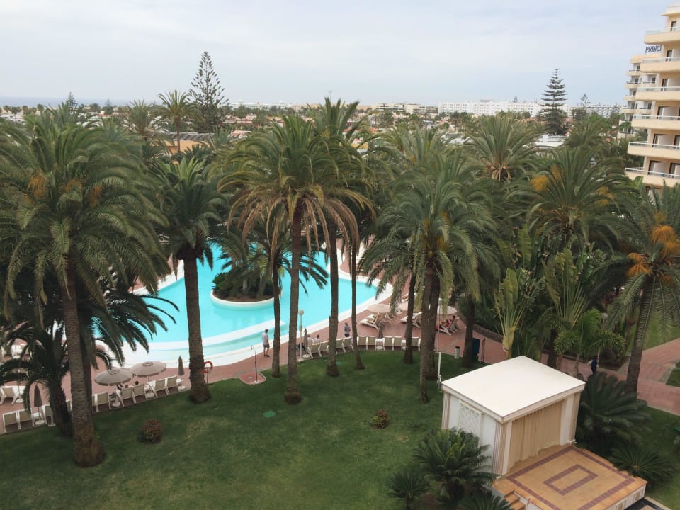 Zum Pool Hotel Riu Palace Palmeras