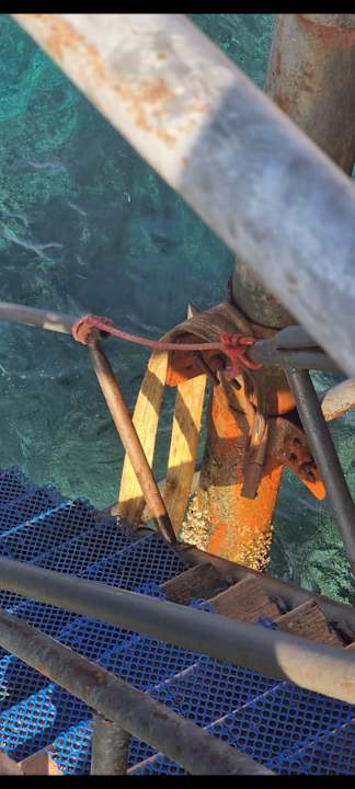 Strand Pickalbatros Sea World Resort - Marsa Alam