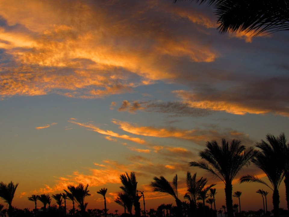 Außenansicht Old Palace Resort Sahl Hasheesh