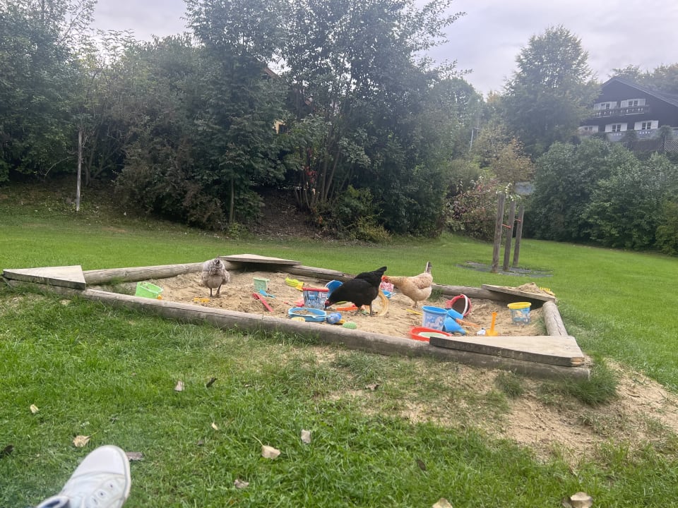 Sport & Freizeit Hotel Ferienparadies Lerch