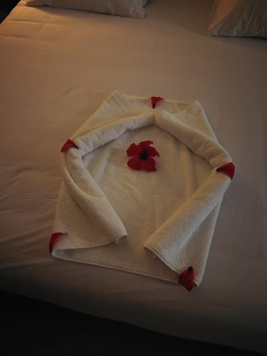 Zimmer Stella Garden Resort & Spa, Makadi Bay