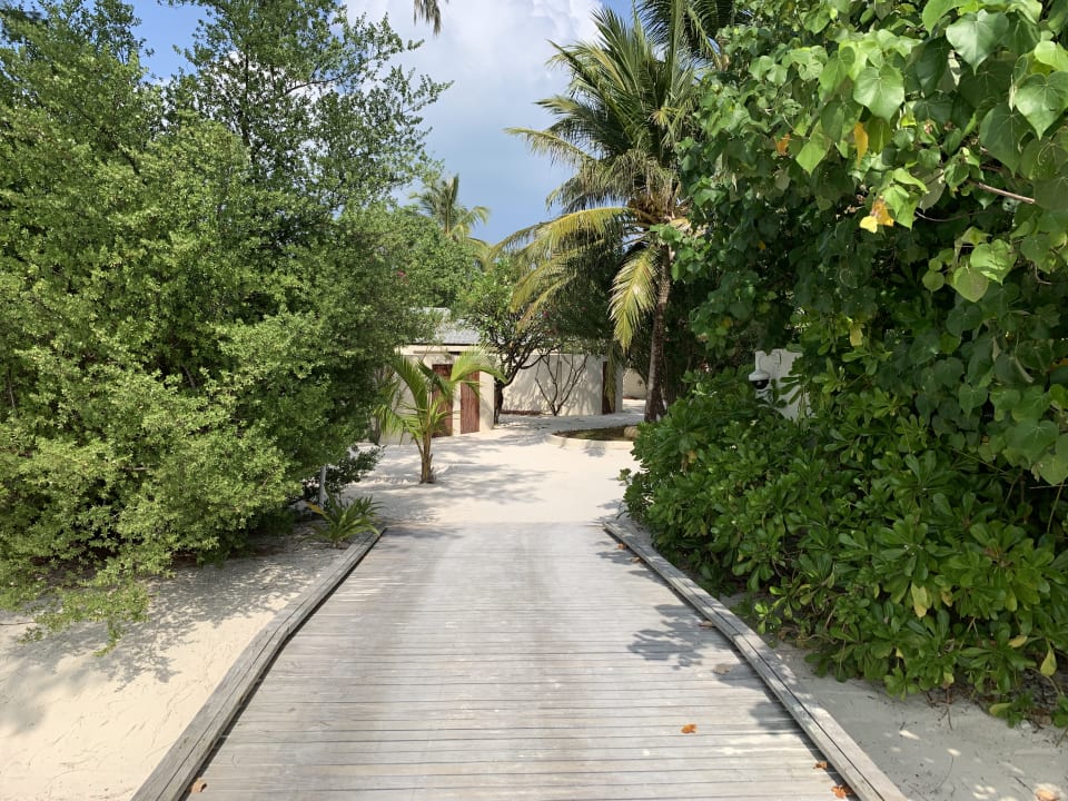 Gartenanlage Centara Ras Fushi Resort & Spa Maldives