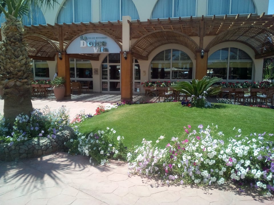 Restaurant Desert Rose