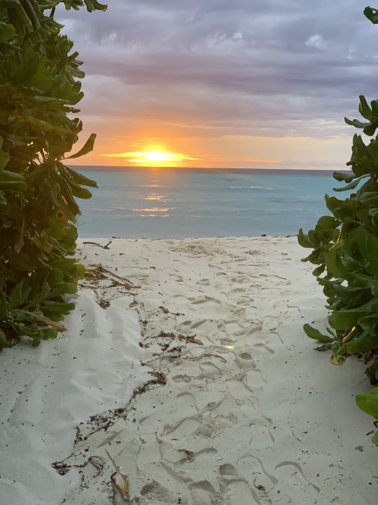 Zimmer NH Collection Maldives Havodda Resort