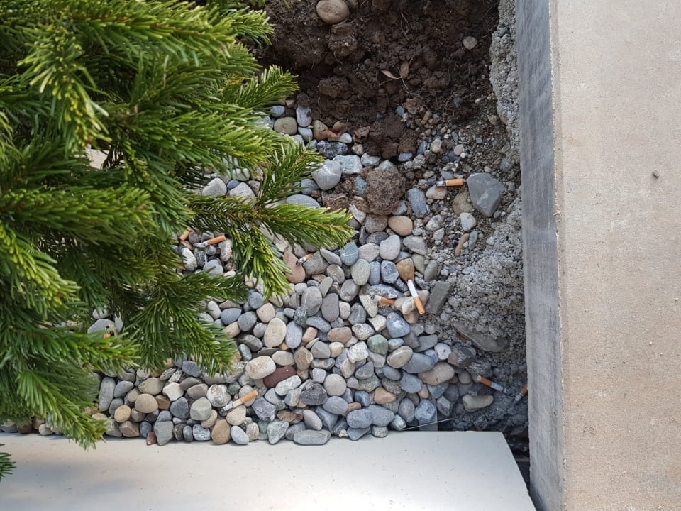 Zimmer Center Parcs Park Allgäu