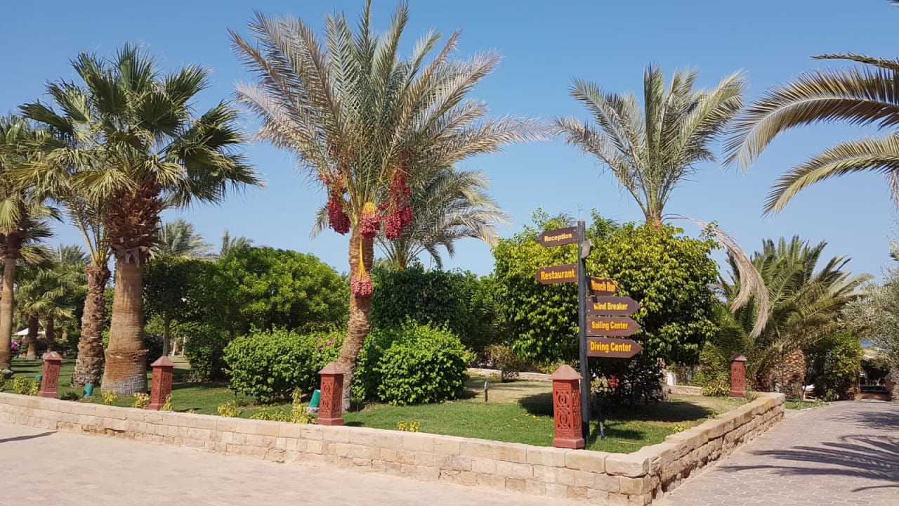 Gartenanlage Fort Arabesque Resort, Spa & Villas