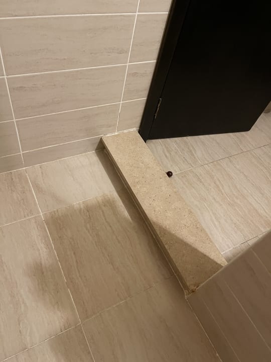 Zimmer Jaz Makadi Oasis Resort