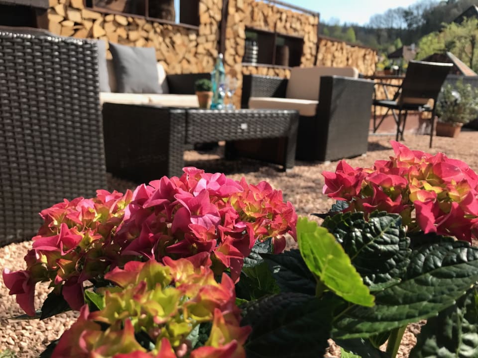 Gartenanlage Landgasthaus Zur Krone