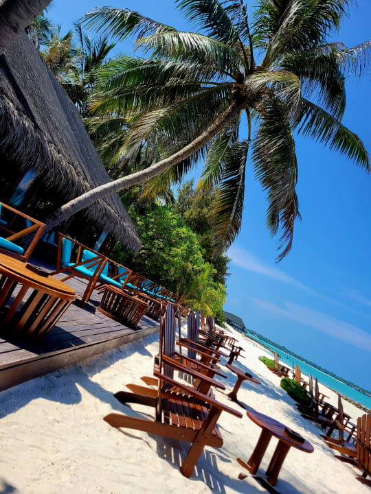 Gastro Summer Island Maldives