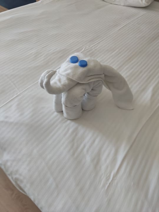 Zimmer Hotel Delphin Imperial