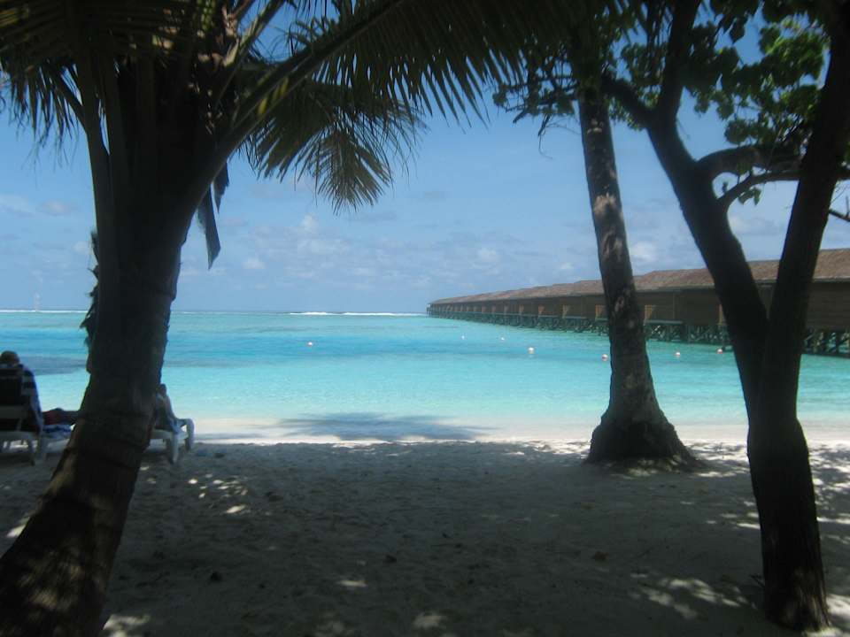 Strand Meeru Maldives Resort Island