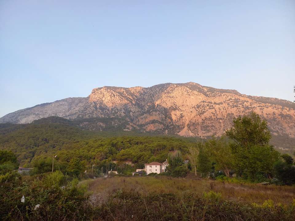 Ausblick Crystal Flora Pearl Collection