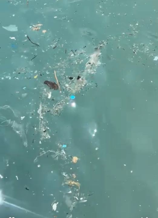 Strand Club Hotel Phaselis Rose