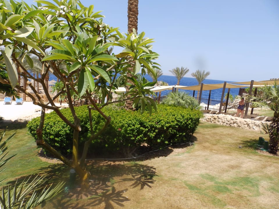 Garten mit Meerblick The Grand Hotel Sharm El Sheikh