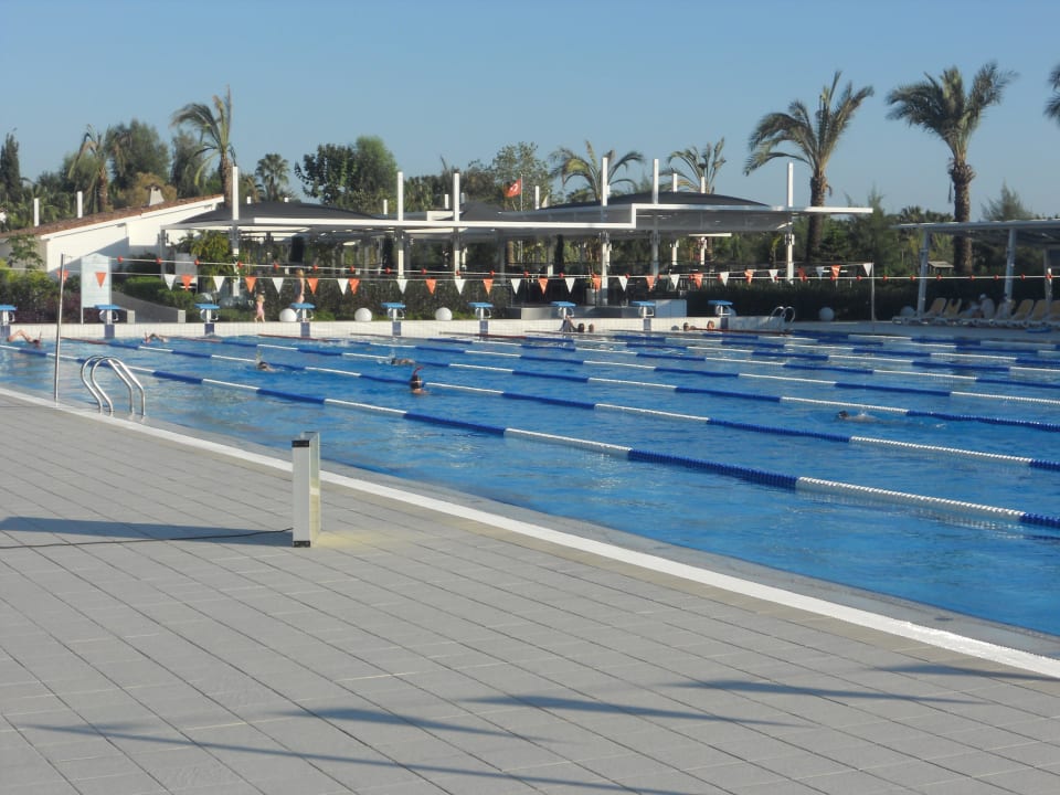 Olymischer Pool 50/25 meter TUI BLUE Xanthe