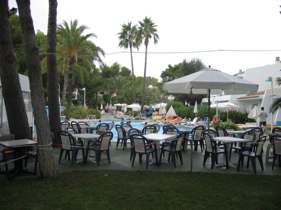 Restaurant Iberostar Waves Pinos Park