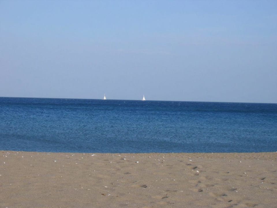 Strand und Meer direkt am Hotel Hotel Calypso Beach