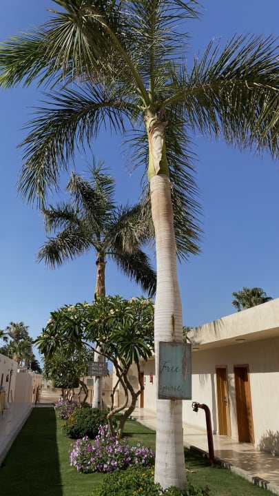 Gartenanlage Meraki Resort (Adults Only)