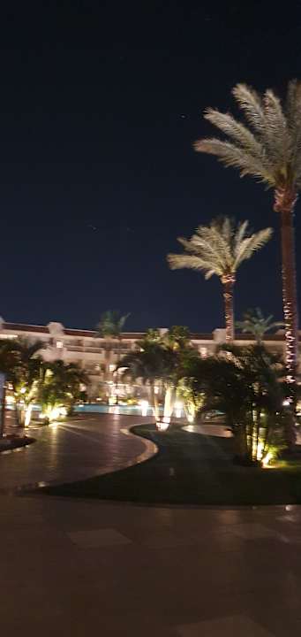 Gartenanlage JAZ Elite Casa del Mar Beach