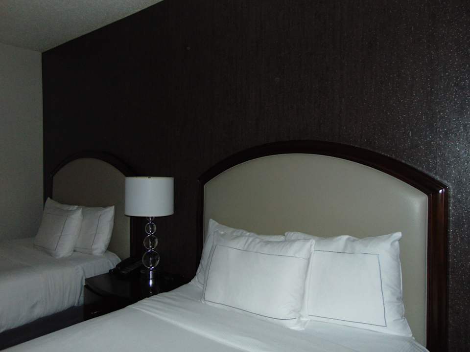 Zimmer Hotel Hilton Atlanta