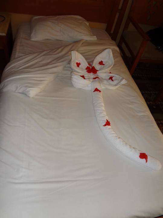 Цветочек))) Regency Plaza Aqua Park & Spa