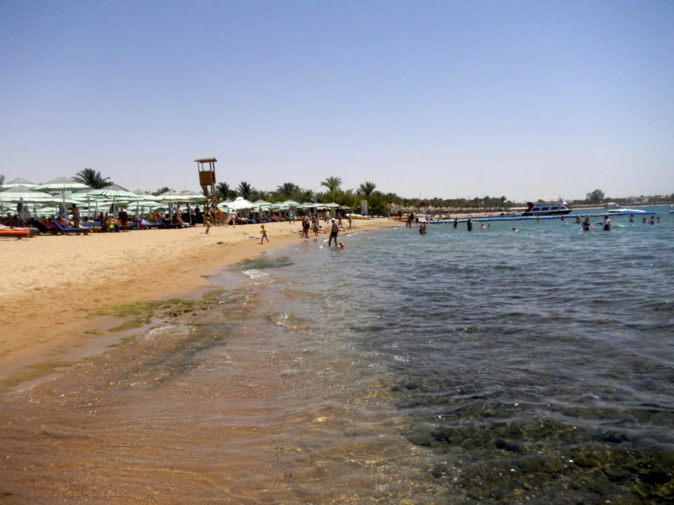 Strand von rechts Ghazala Beach