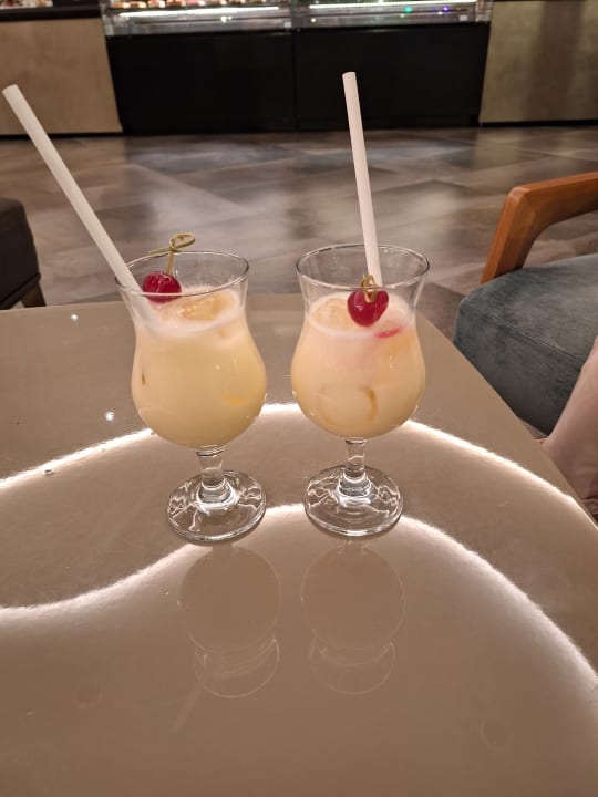 Gastro HVD Reina del Mar