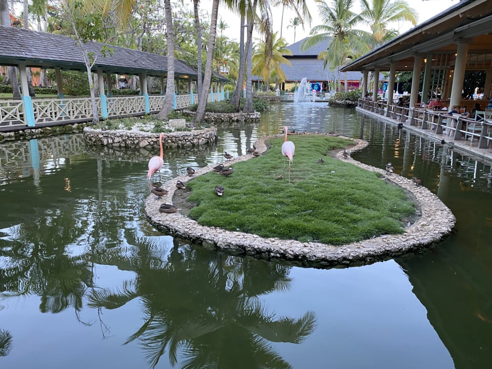 Gartenanlage Iberostar Selection Coral Bávaro