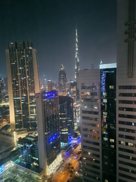 Ausblick Rose Rayhaan by Rotana