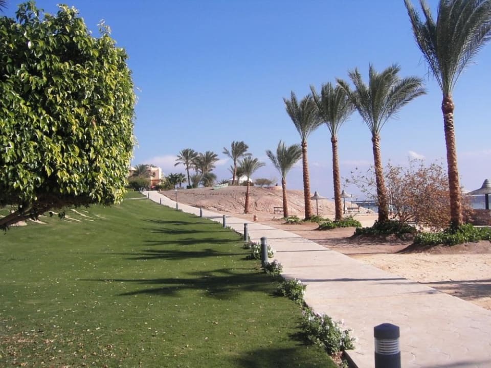 Weg um die Bucht herum Steigenberger Coraya Beach - Adults only