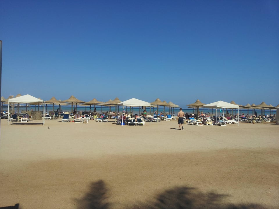 Blick auf den Strand und das Meer Stella Garden Resort & Spa, Makadi Bay