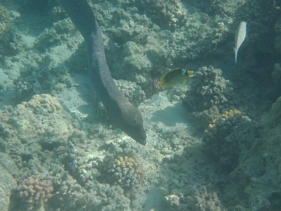 Sport & Freizeit Cleopatra Luxury Resort Makadi Bay