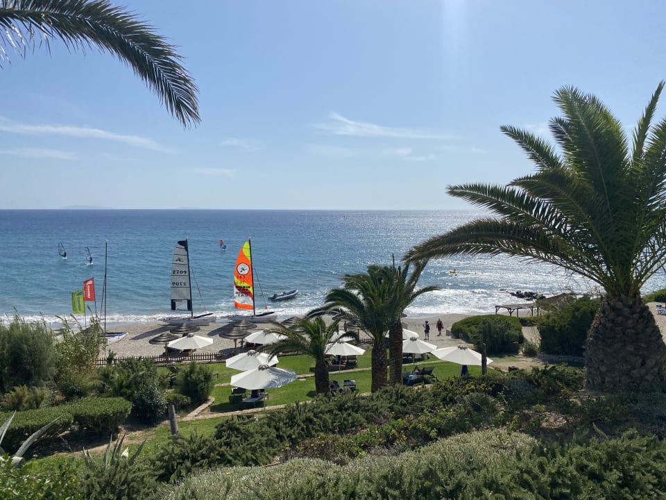 Ausblick ROBINSON DAIDALOS