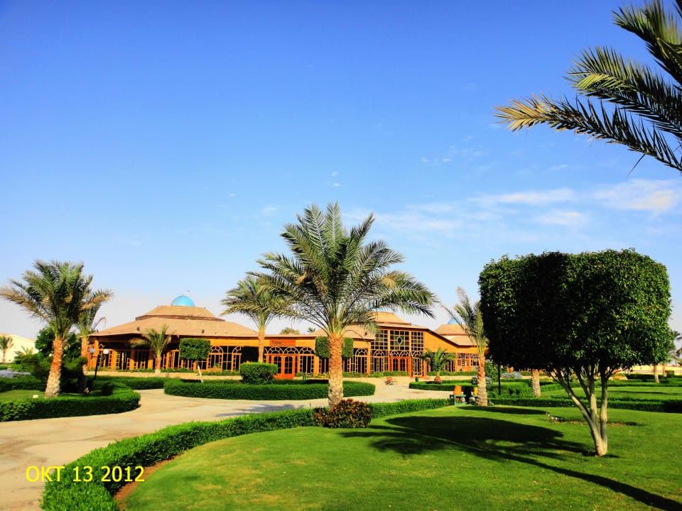 Пейзаж Desert Rose