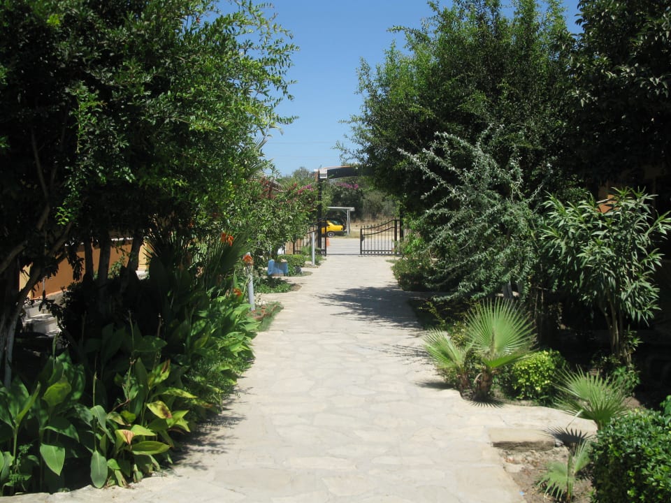 Hotelanlage innen Özlem Garden Hotel