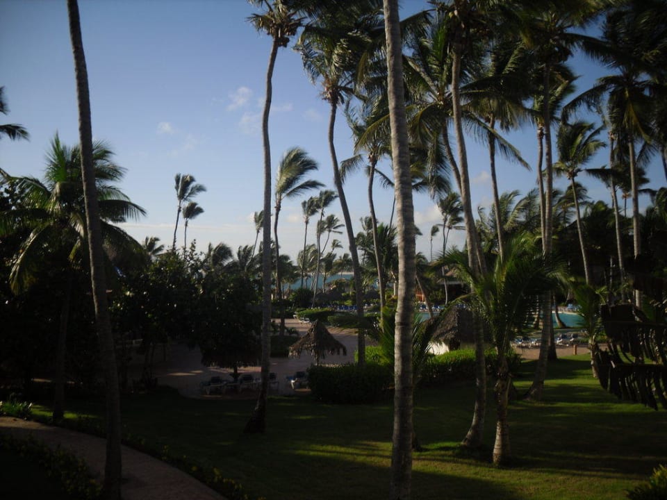 Ausblick vom Balkon aus  VIK Hotel Arena Blanca