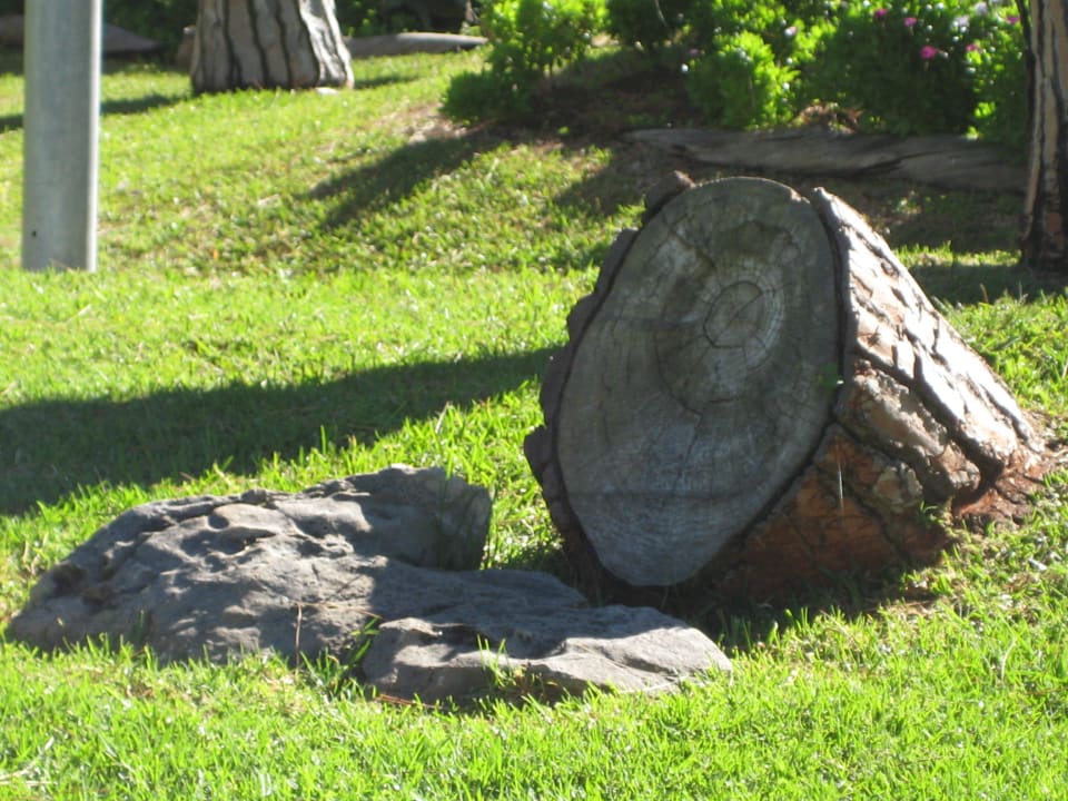 Impression Hotel Don Pepe Gran Meliá