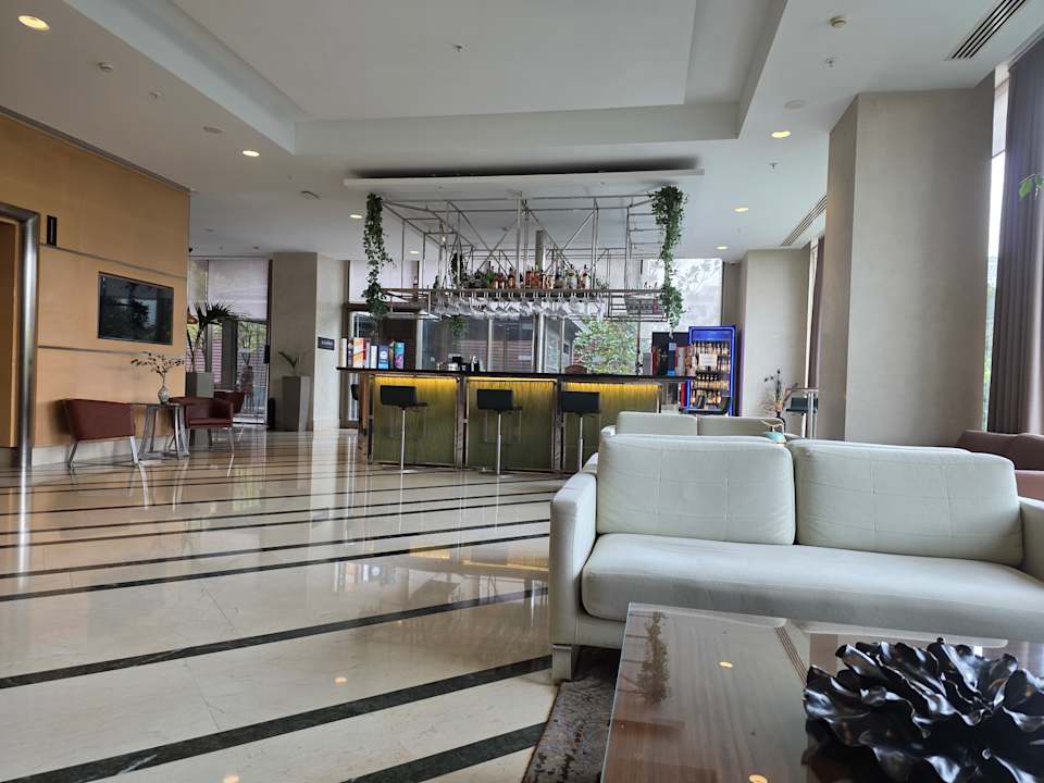 Lobby Hilton Garden Inn Istanbul Beylikduzu