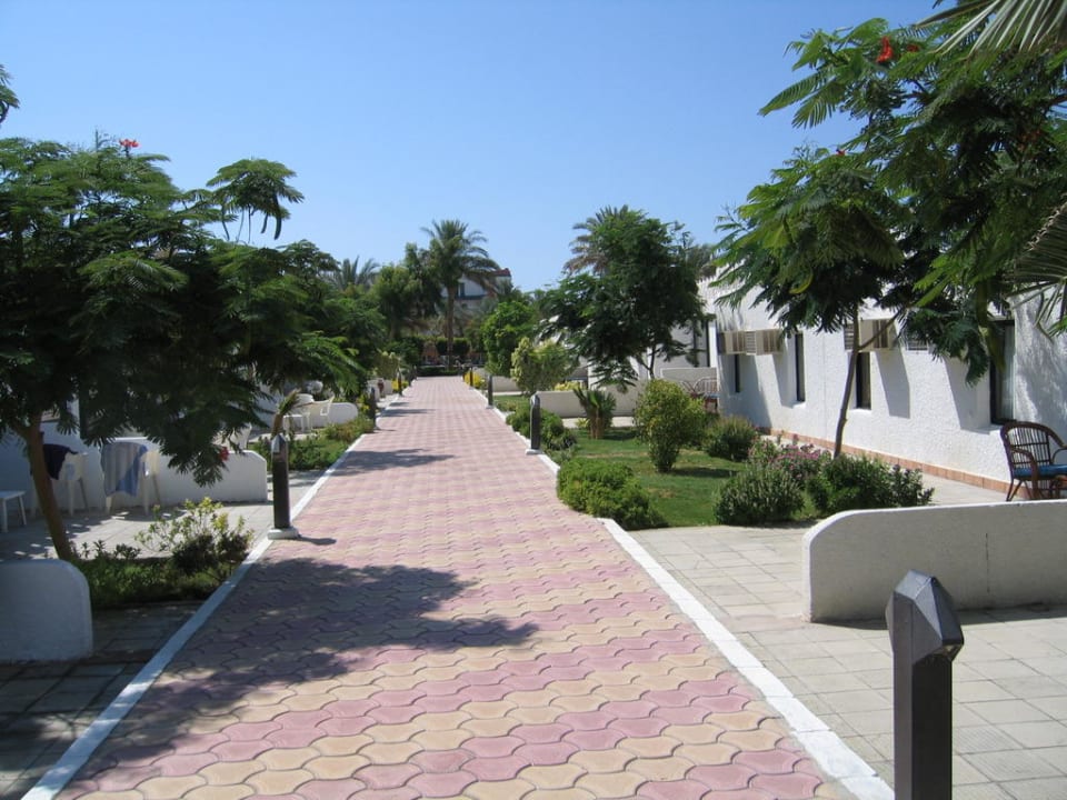 Der Weg zum 2 ten Zimmer Albatros Sharm Resort