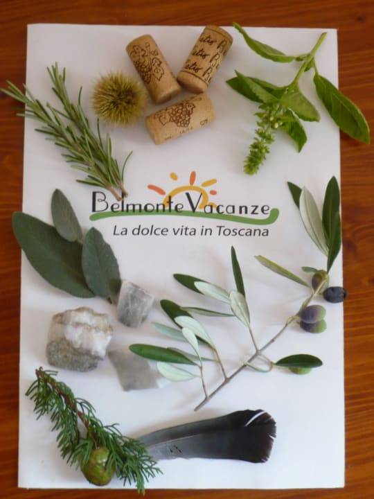 Belmonte Vacanze - La dolce vita Agriturismo Belmonte Vacanze Resort