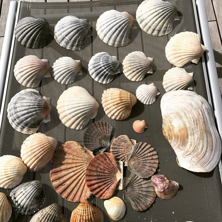 Strand ROBINSON QUINTA DA RIA