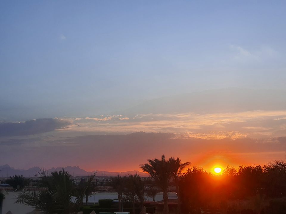 Ausblick Desert Rose