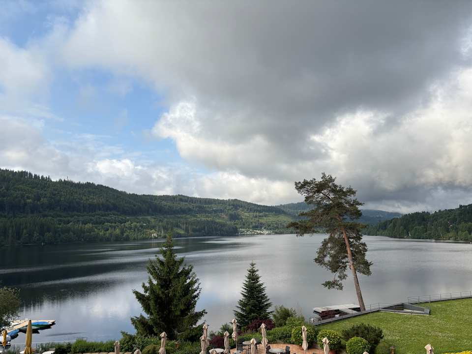 Ausblick Treschers Schwarzwald Hotel
