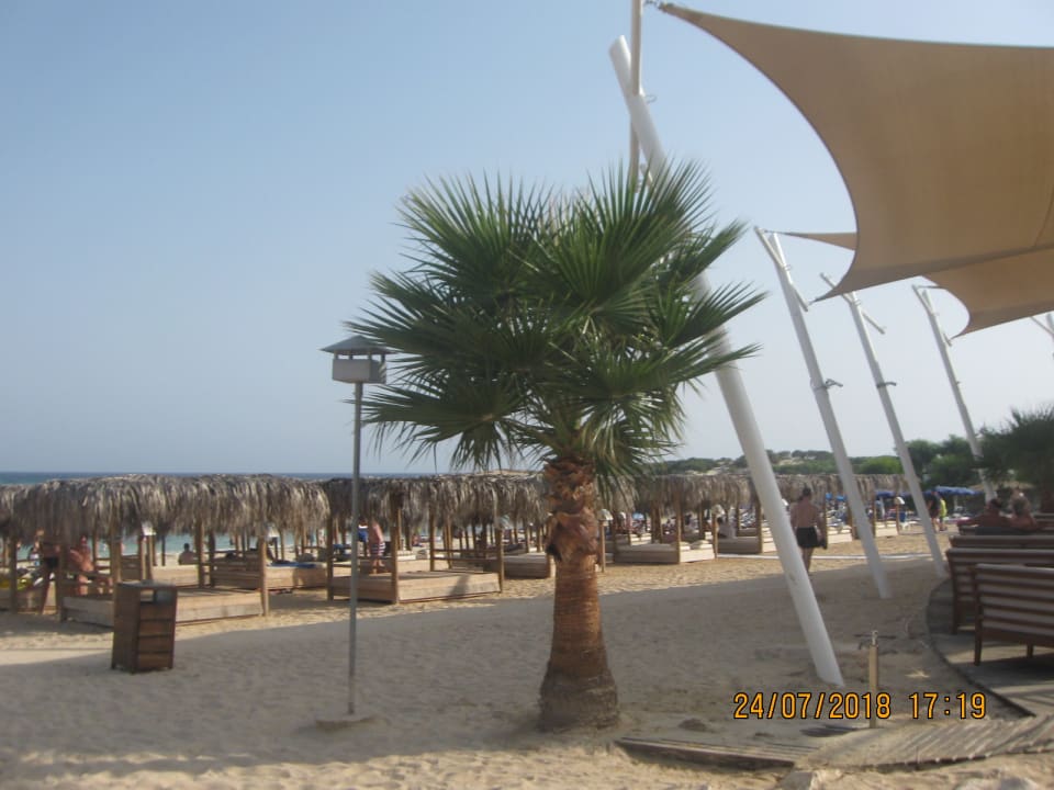 Strand Asterias Beach