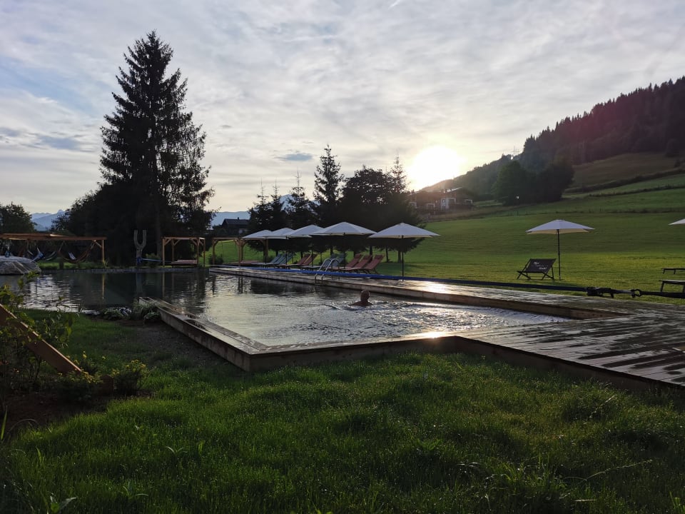Pool Das Falkenstein