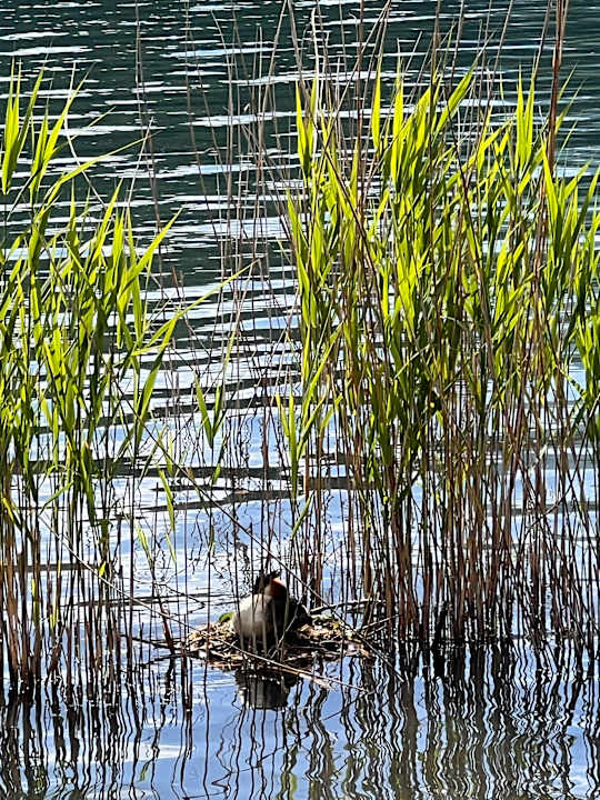 Strand Parc Hotel Du Lac